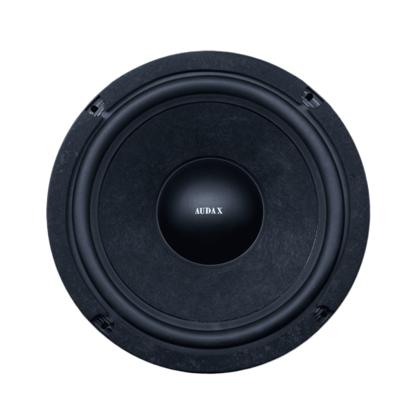 Audax - Speaker Pasif 10" AX-10055 SW8 Sub Woofer MK II