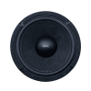 Audax - Speaker Pasif 10" AX-10055 SW8 Sub Woofer MK II