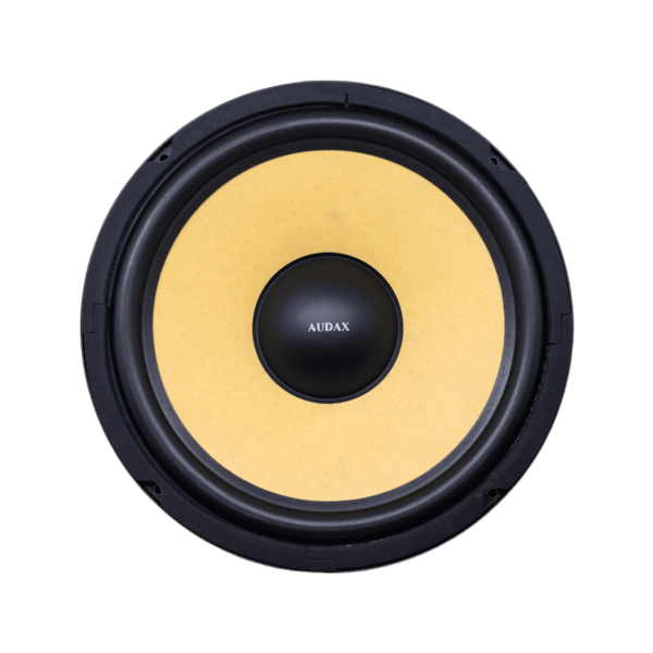 Audax - Speaker Pasif 10" AX-10073 WY8 Ceramic Cone Woofer MK II