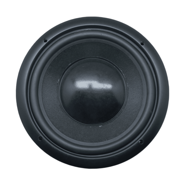 Audax - Speaker Pasif 10" AX-10451 SW8 Sub Woofer MK II