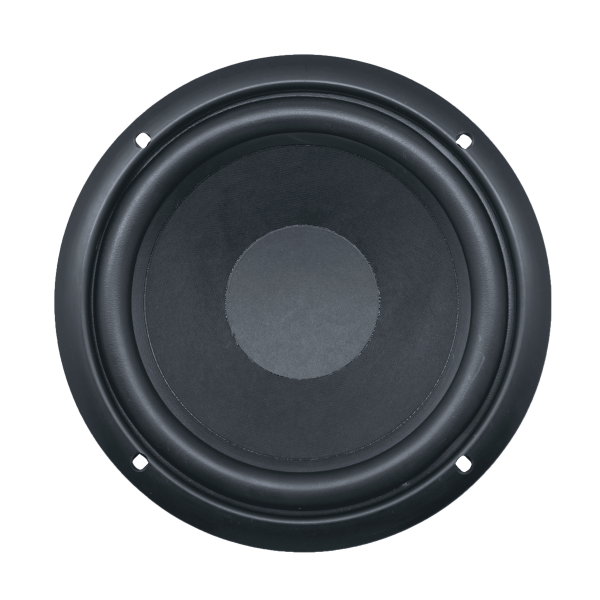 Audax - Speaker Pasif 8" AX-8019 W8 Woofer MK II