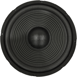 Audax - Speaker Pasif 10" BL WF-1031 W8
