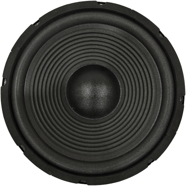 Audax - Speaker Pasif 10" BL WF-1031 W8